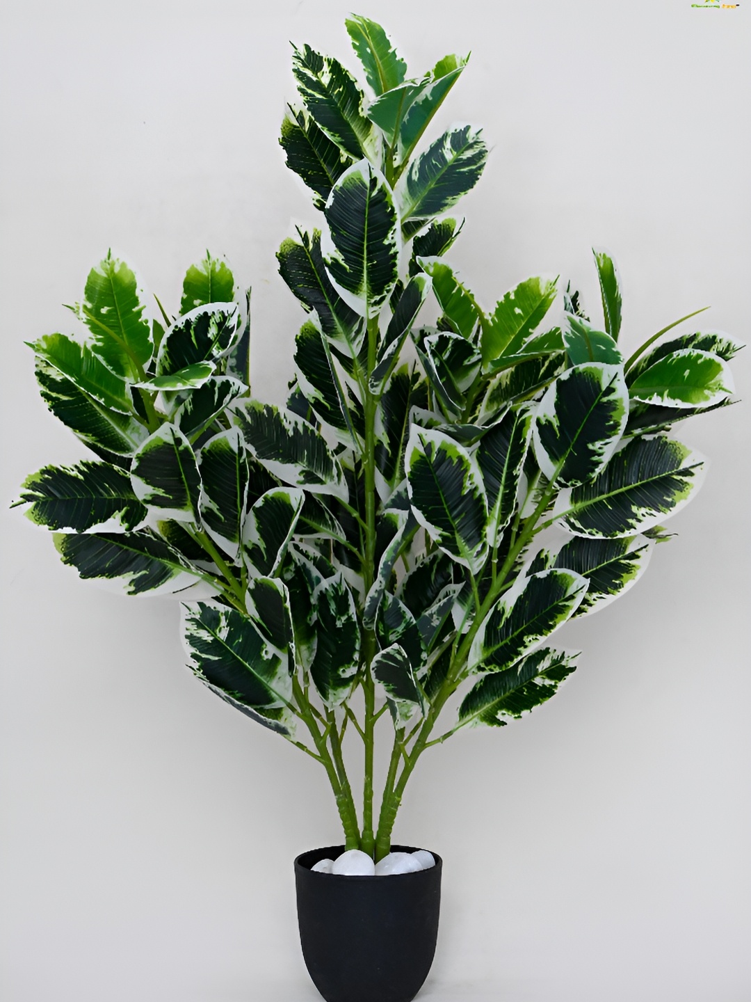 

Blooming Floret Green Artificial Andrew Croton Plant With Pot