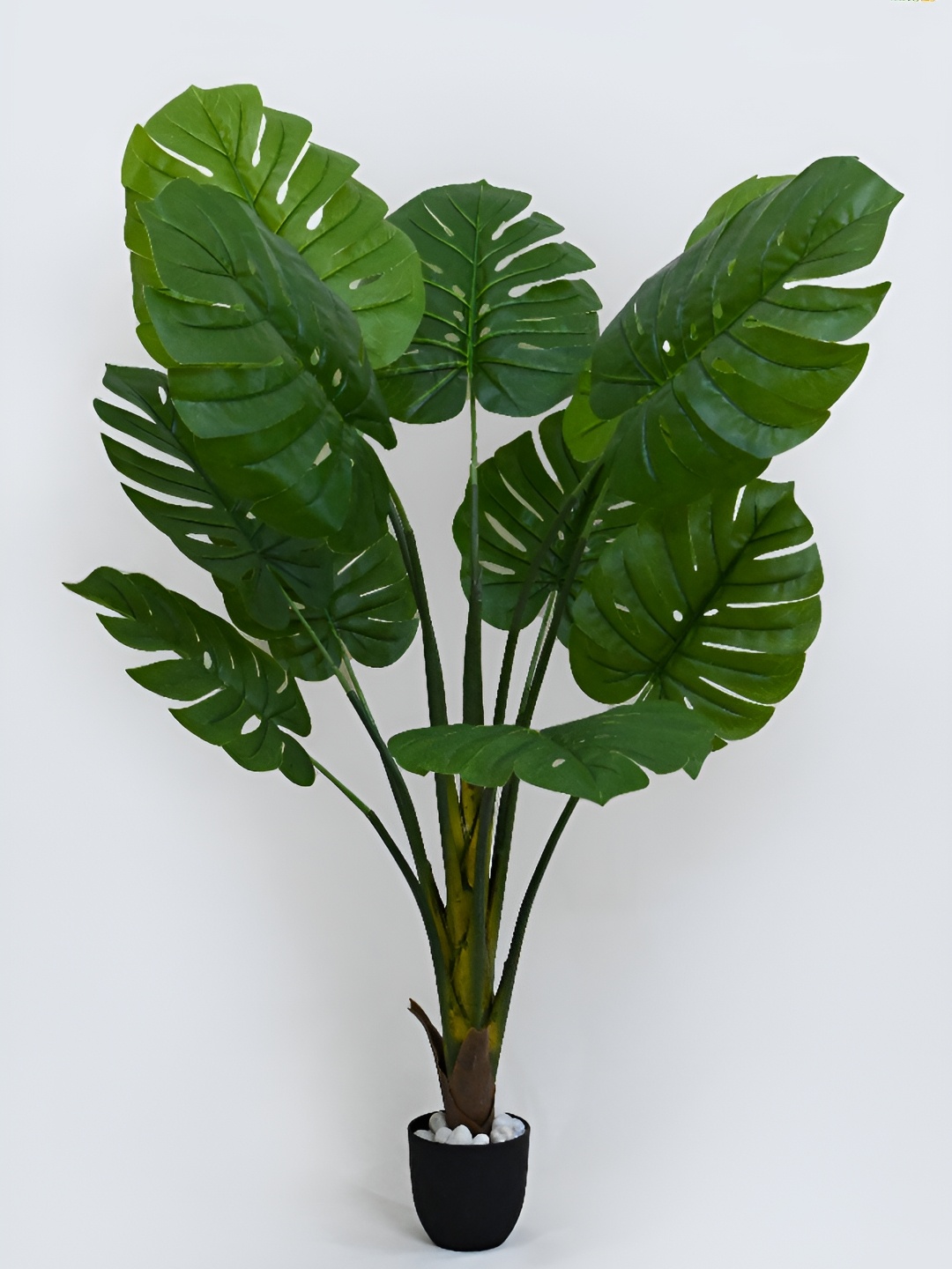 

Blooming Floret Green Monstera Deliciosa Artificial Plant With Pot