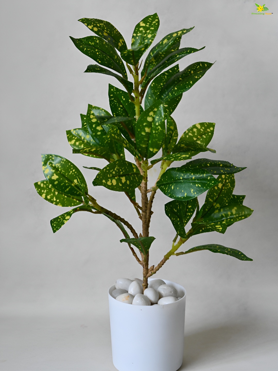 

Blooming Floret Green Croton Artificial Plant With Pot