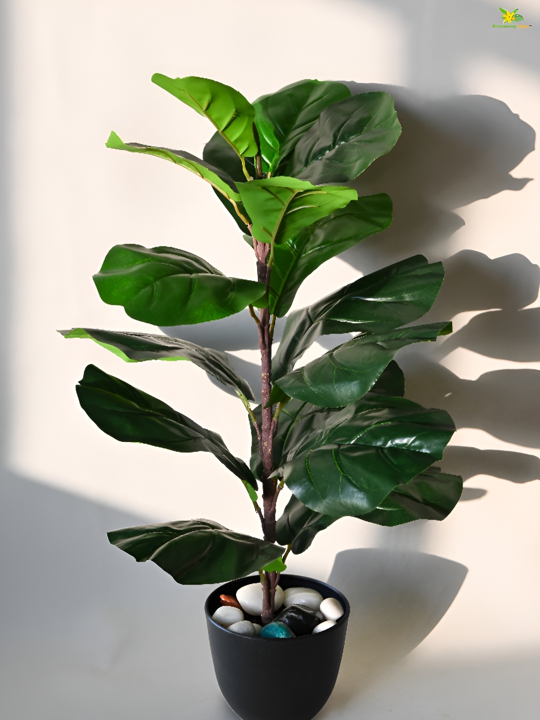 

Blooming Floret Green Fig Artificial Plant With Pot
