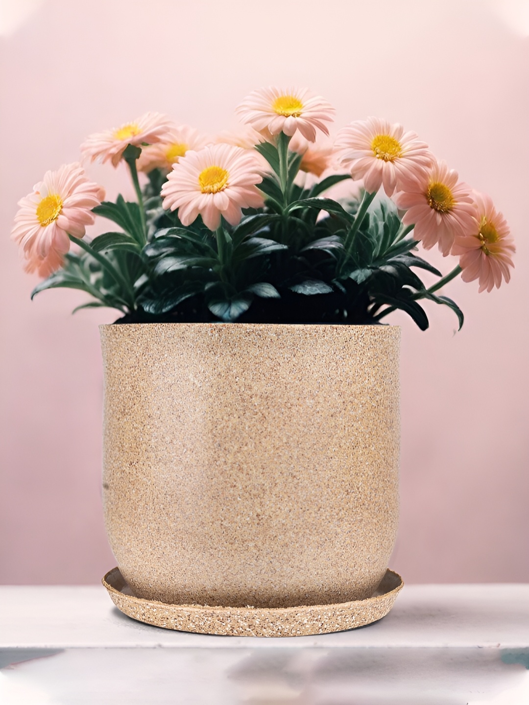 

Kuber Industries Marble Jaguar Cream-Colored Planter with Tray