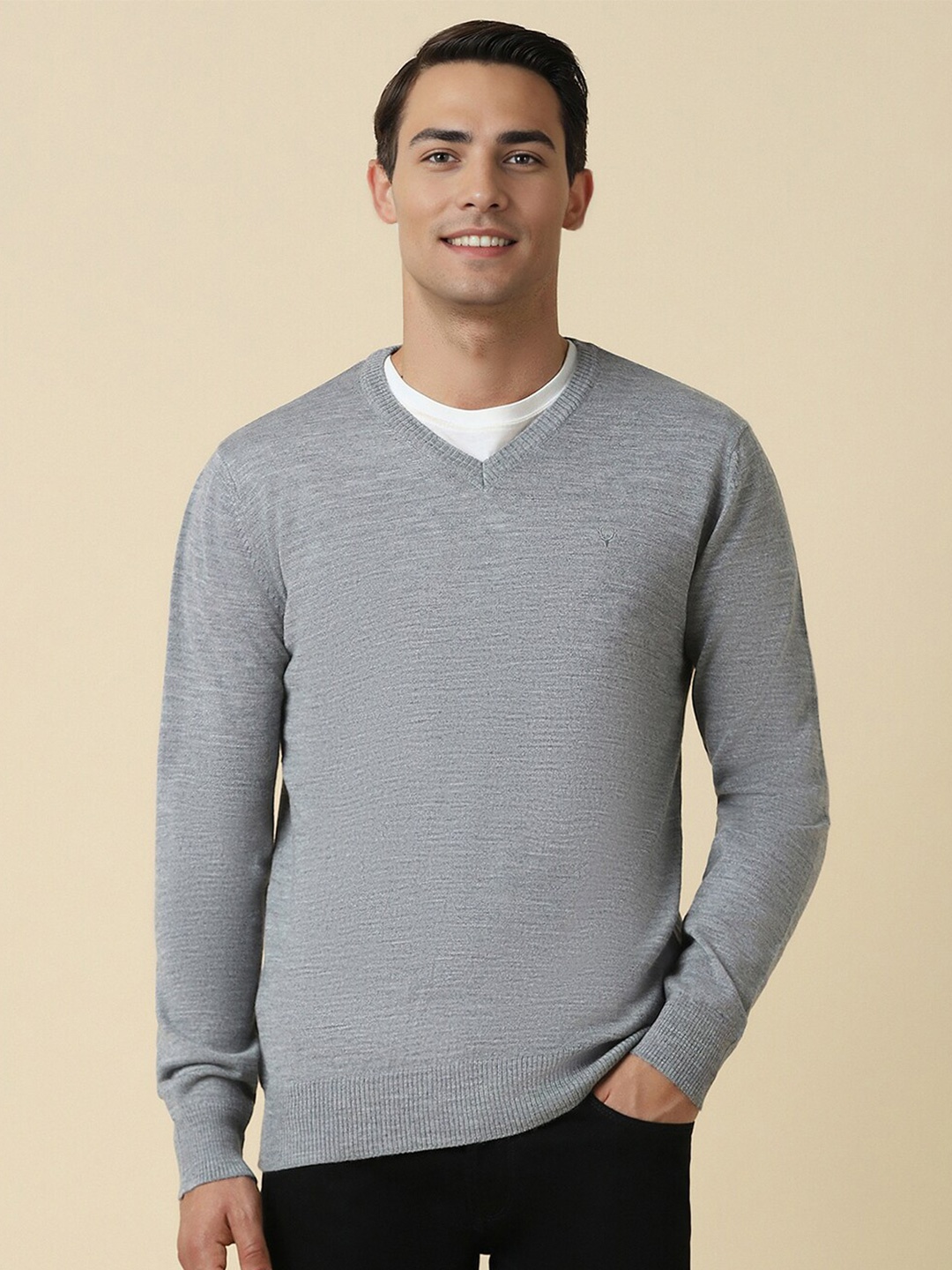 

Allen Solly Textured V Neck Full Sleeves Sweater, Grey