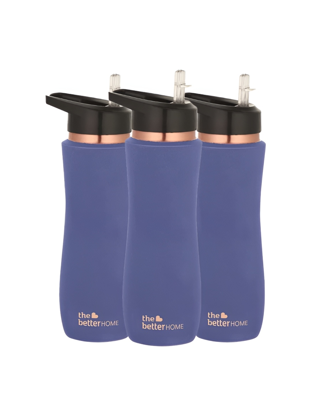 

The Better Home Purple 3 Pieces Copper Water Bottle