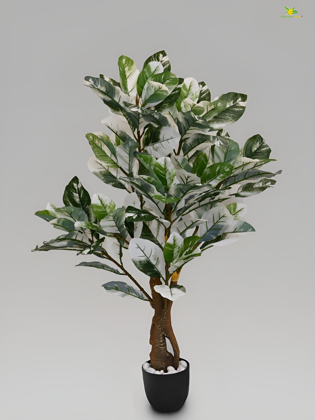 

Blooming Floret Green & White Artificial Plant With Pot