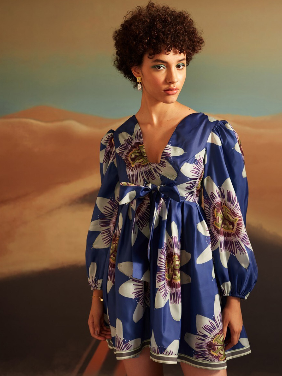 

VERB BY PALLAVI SINGHEE Floral Print Puff Sleeve Cotton Fit & Flare Dress, Blue