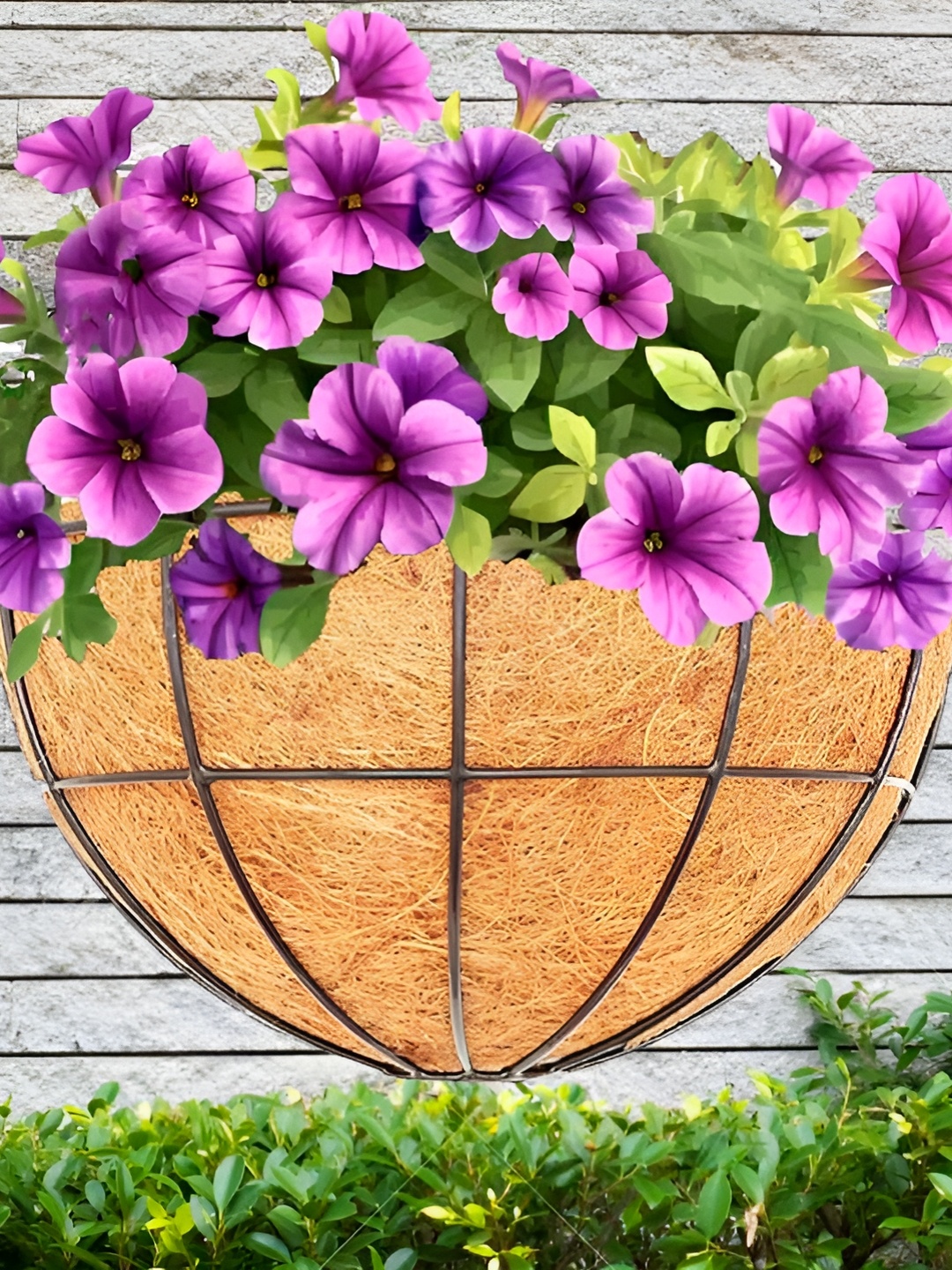 

Garden Deco Black 6 Pieces Textured Planter Wall Baskets
