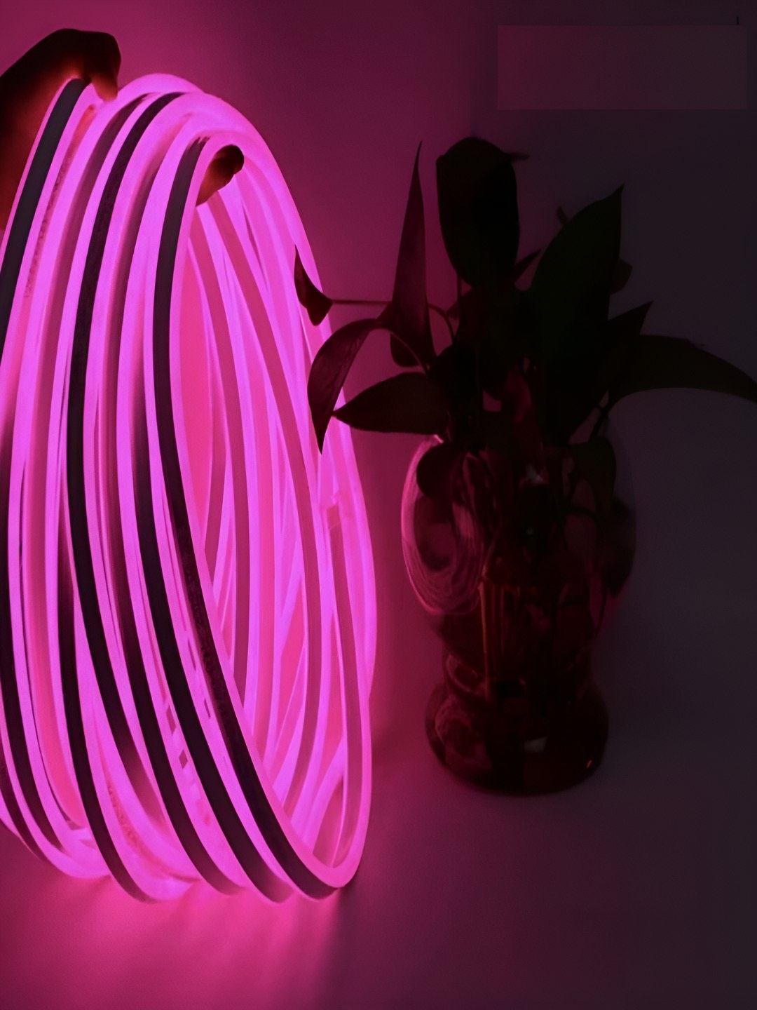 

Tip 'n' Top Pink Steady Strip String Light