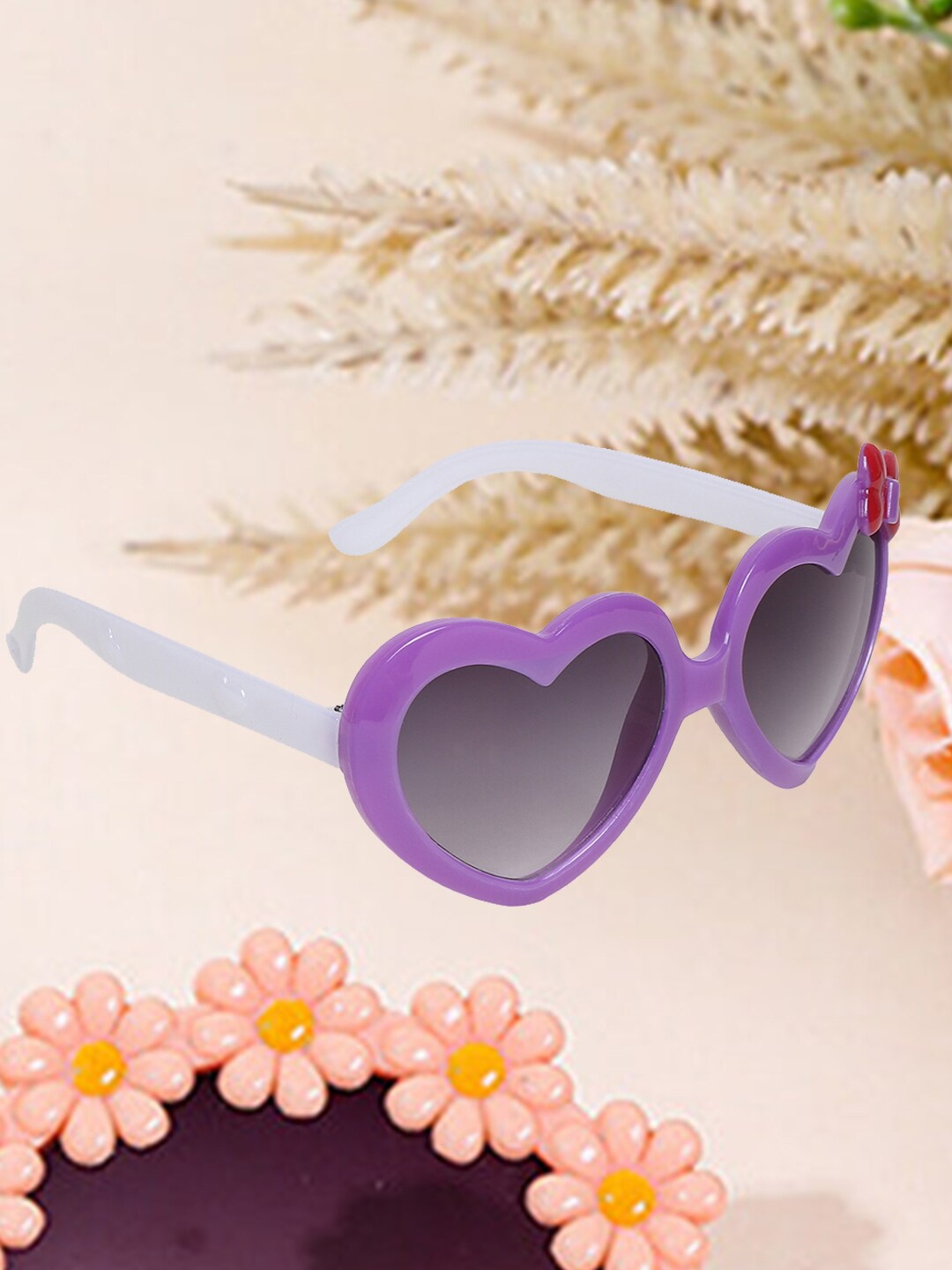 

FROGGY Girls Wayfarer Sunglasses FG24-2029-PR, Grey