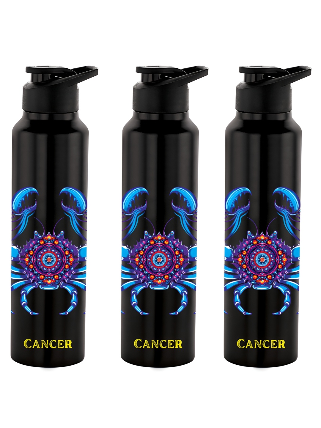

NIRLON Black 3 Pieces Stainless Steel Wall Vacuum Water Bottle 1 Ltr