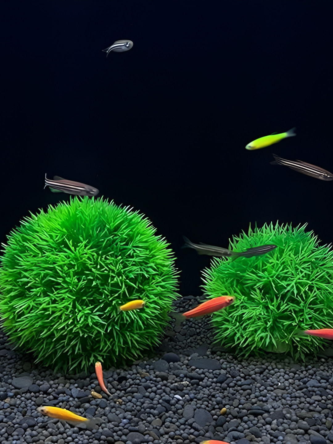 

VAYINATO Green 2 Pieces Curio Showpieces