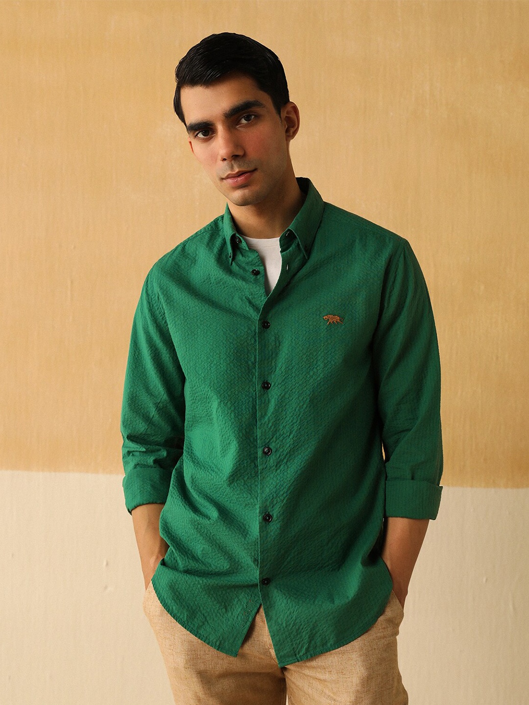 

Andamen Premium Button Down Collar Cotton Casual Shirt, Green