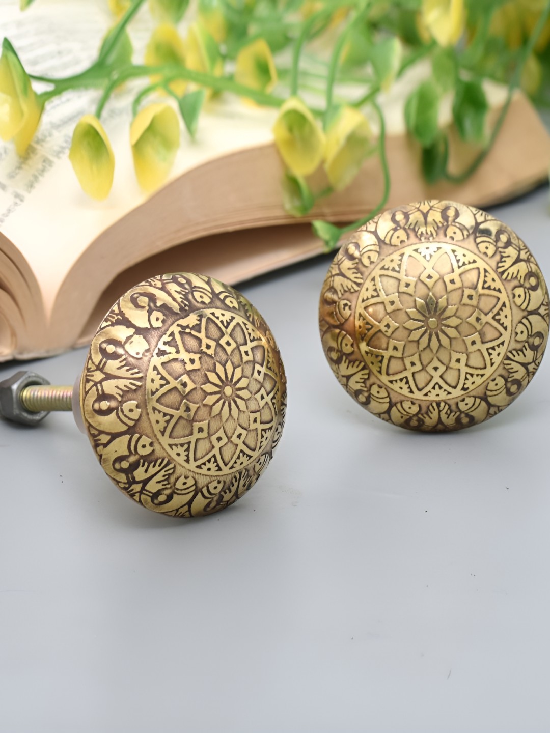 

Indianshelf Gold-Toned Brass Floral Cabinet Knob