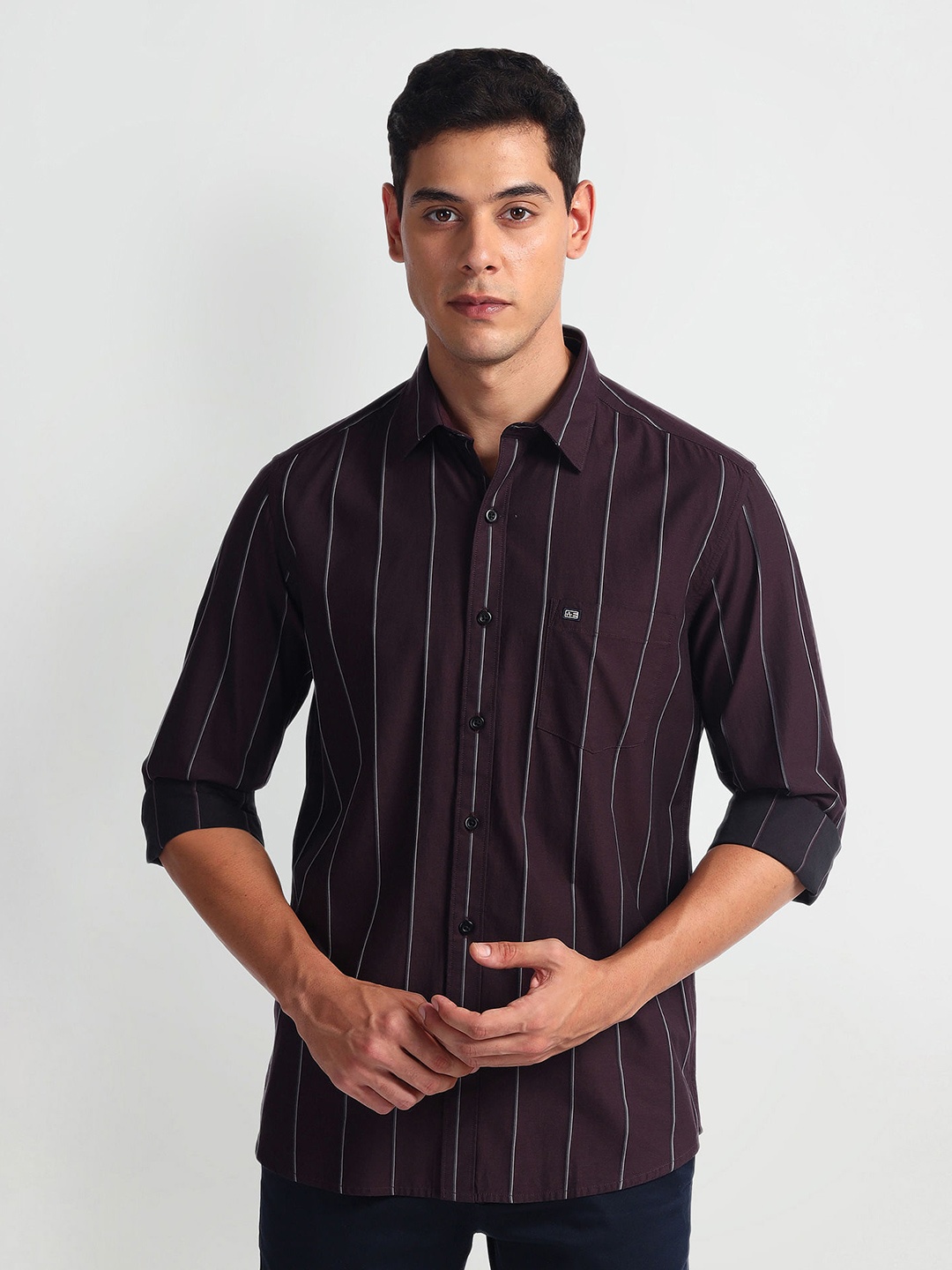 

Arrow Sport Slim Fit Striped Cotton Casual Shirt, Red