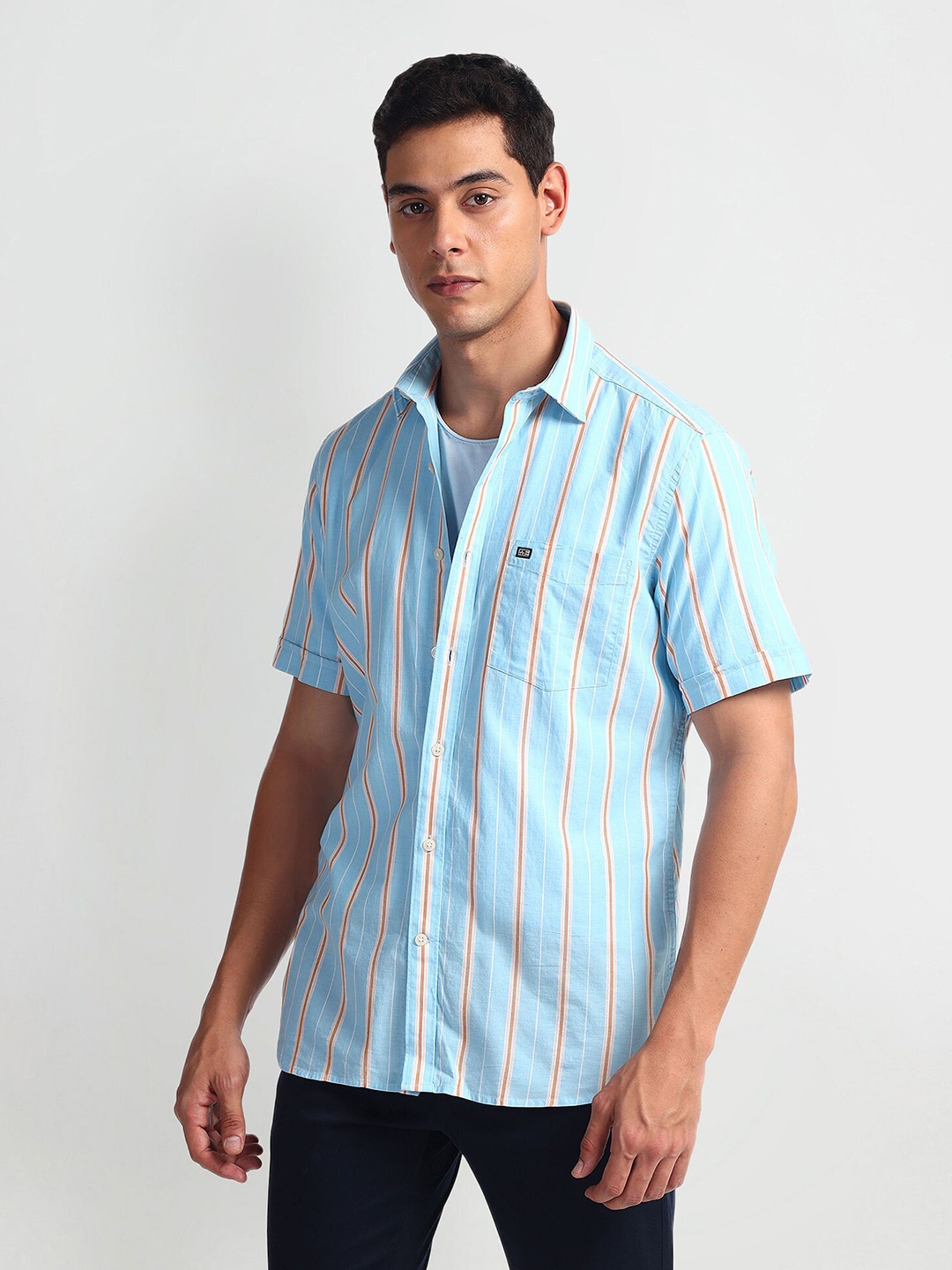 

Arrow Sport Vertical Striped Twill Shirt, Blue