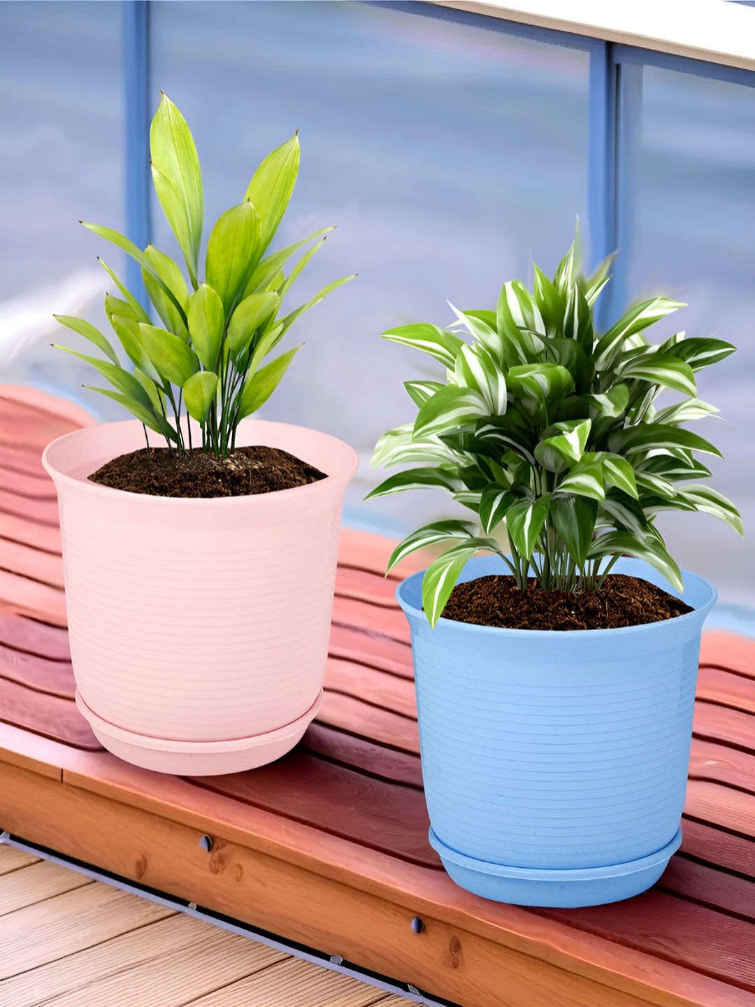 

Kuber Industries Blue & Pink 2 Pieces Marble Finish Planters With Tray