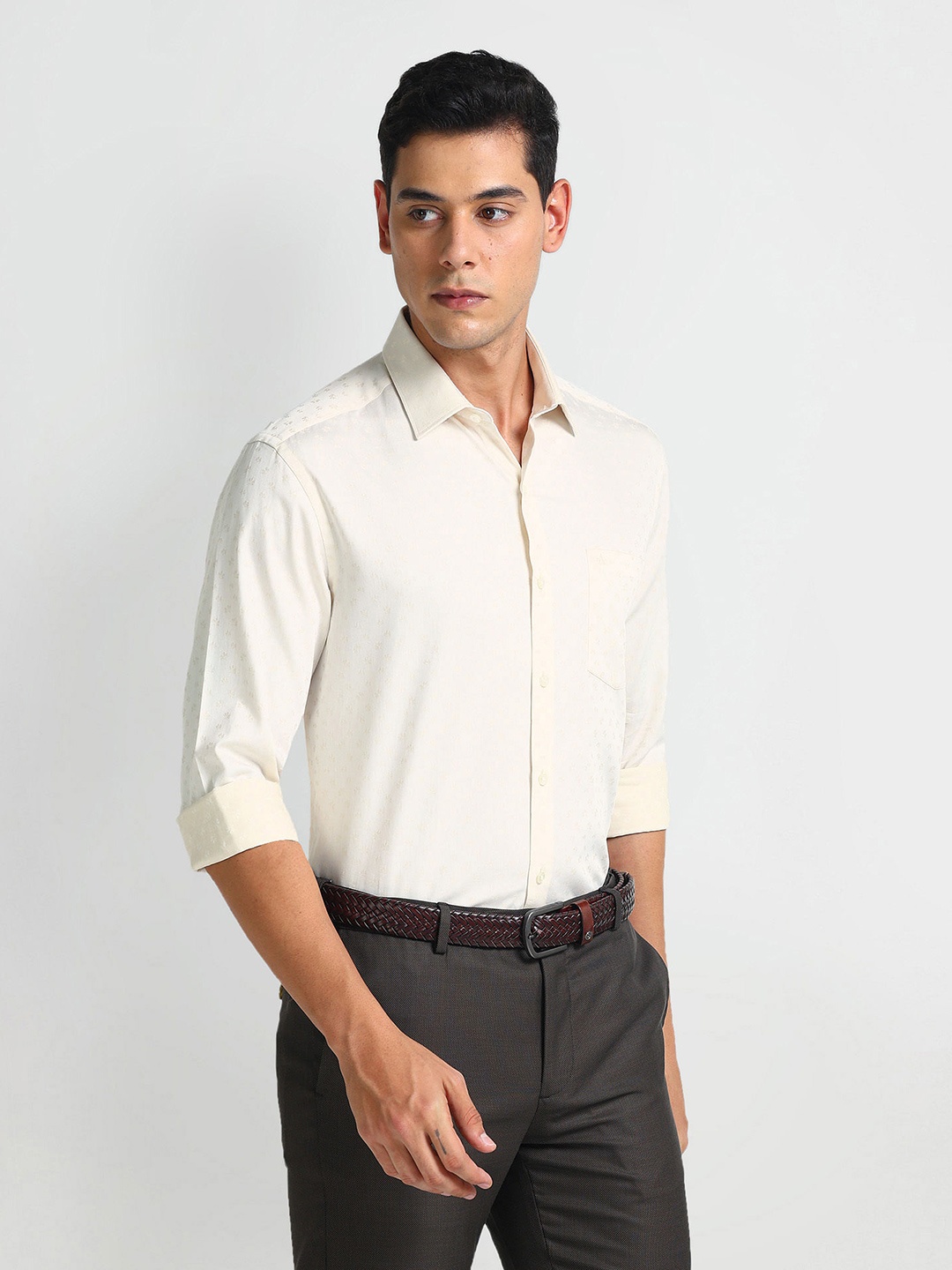 

Arrow Slim Fit Spread Collar Opaque Cotton Formal Shirt, Yellow