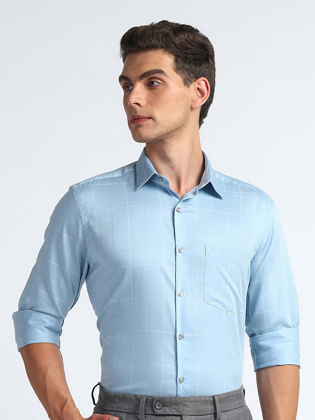 

Arrow Regular Fit Checked Spread Collar Cotton Formal Shirt, Blue