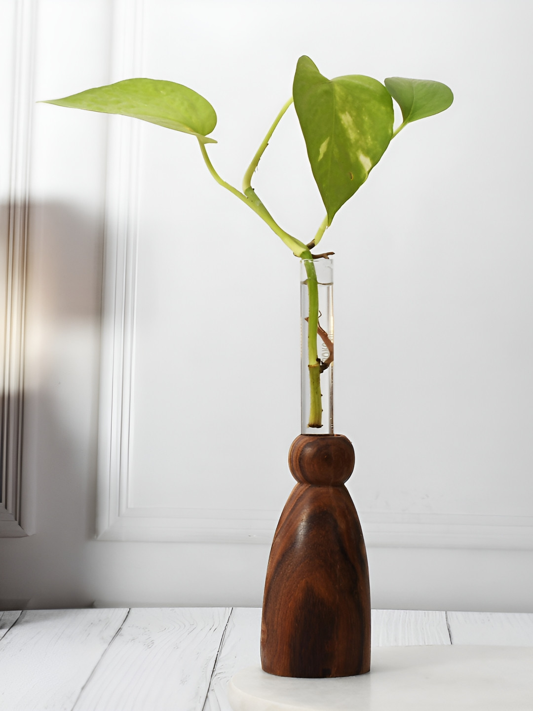 

Craft Junction Brown Small Curio Showpiece