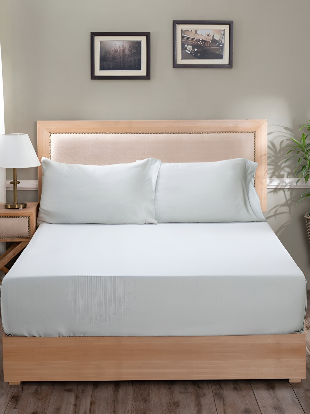 

MASPAR Green 400TC Cotton King Bedsheet With Pillow Cover