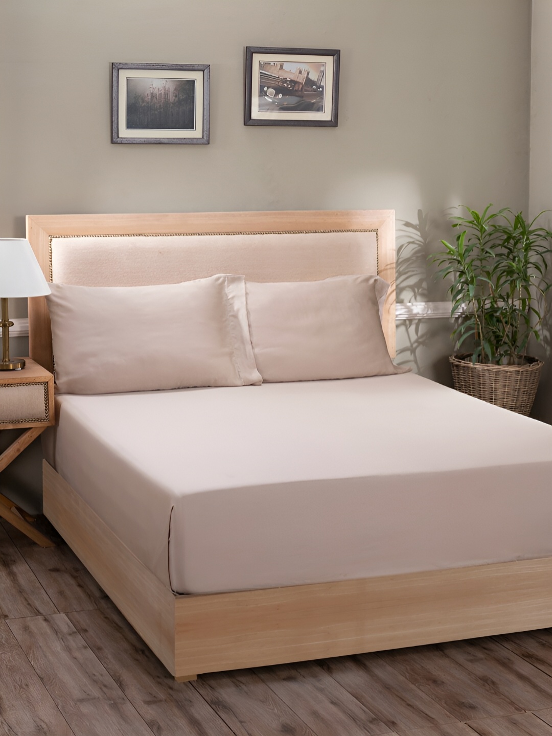 

MASPAR Beige 400 TC Cotton King Bedsheet With 2 Pillow Cover