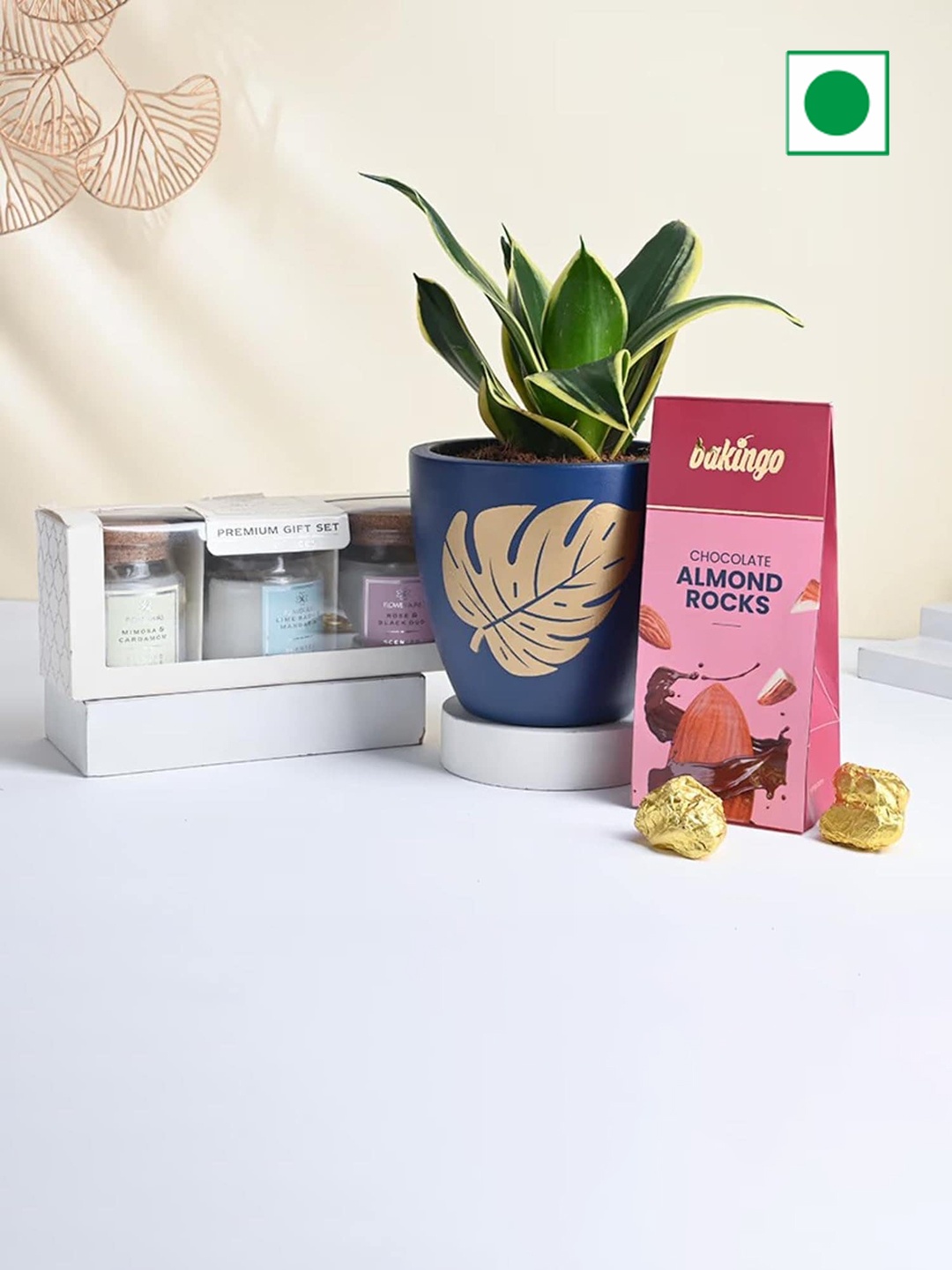 

Floweraura 12 Roses Candle Set Chocolate Live Sansevieria Plant Gift Hamper-800gm, Pink