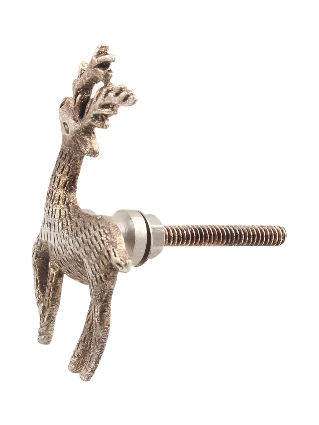 

Indianshelf Silver Toned Textured Swamp Deer Brass Dresser Knob