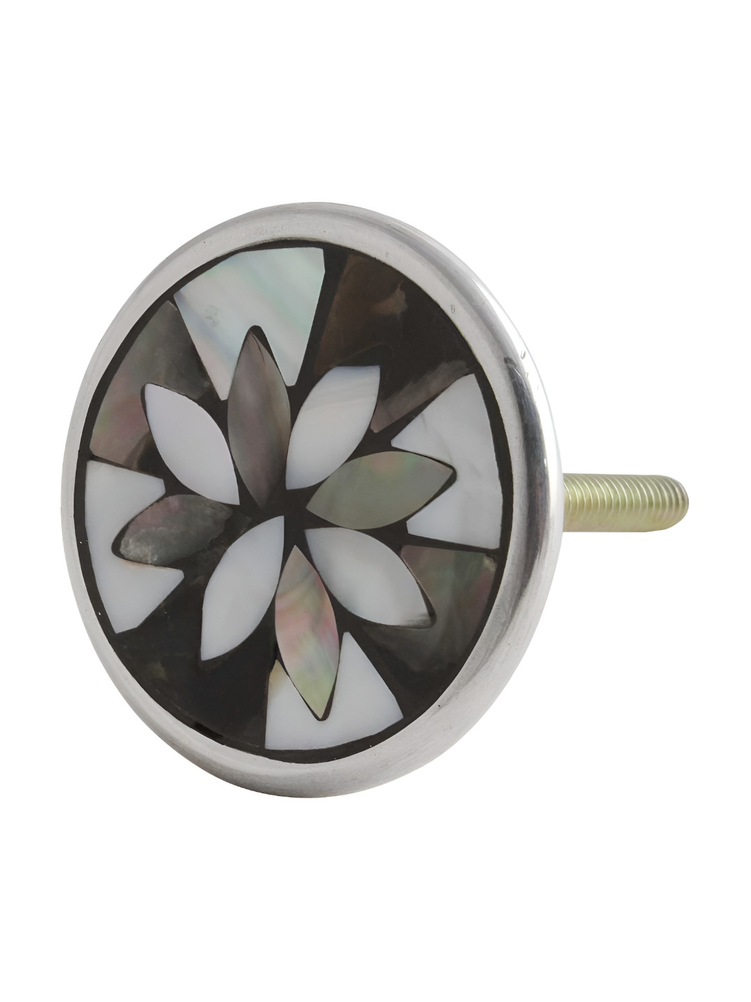 

Indianshelf White & Green Shell Floral Printed Cabinet Knob
