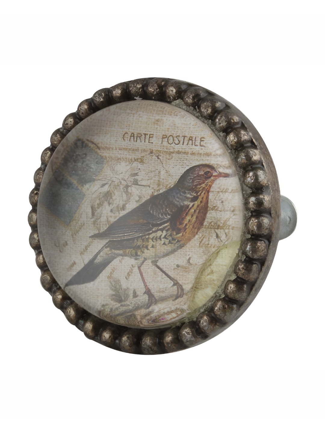 

Indianshelf Off-White & Brown Sparrow Printed Cabinet Knobs