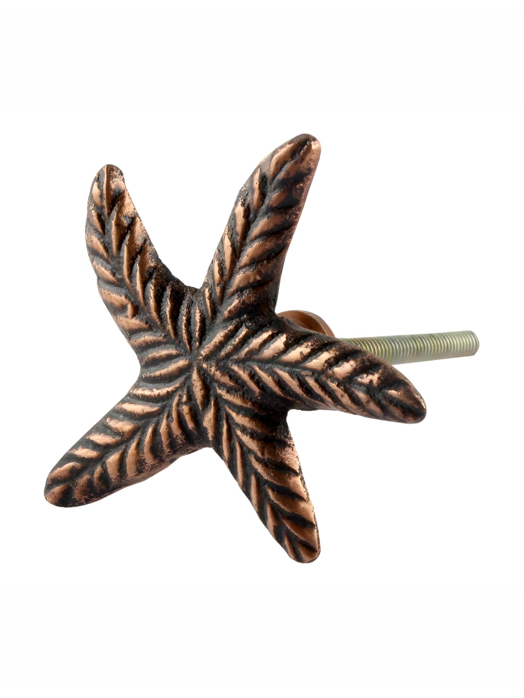 

Indianshelf Beige & Black Starfish Shaped Cabinet Knobs