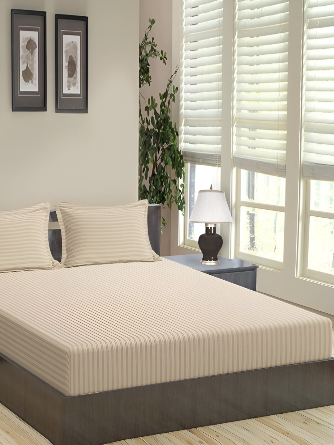 

MallowWorld Cream Coloured Striped 200 TC Fitted Double Bedsheet With 2 Pillow Covers