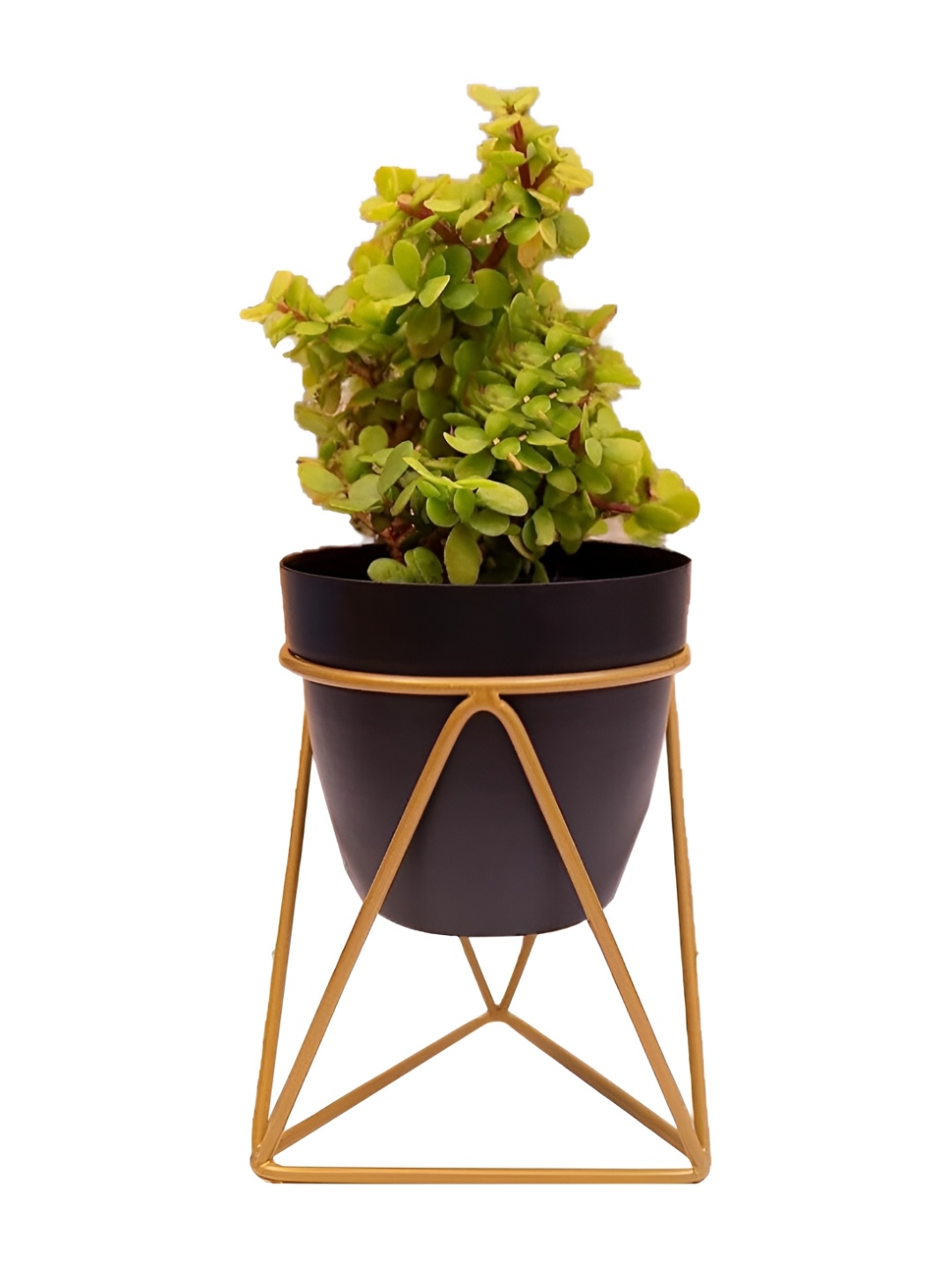 

Kuber Industries Black Metal Planter with Stand