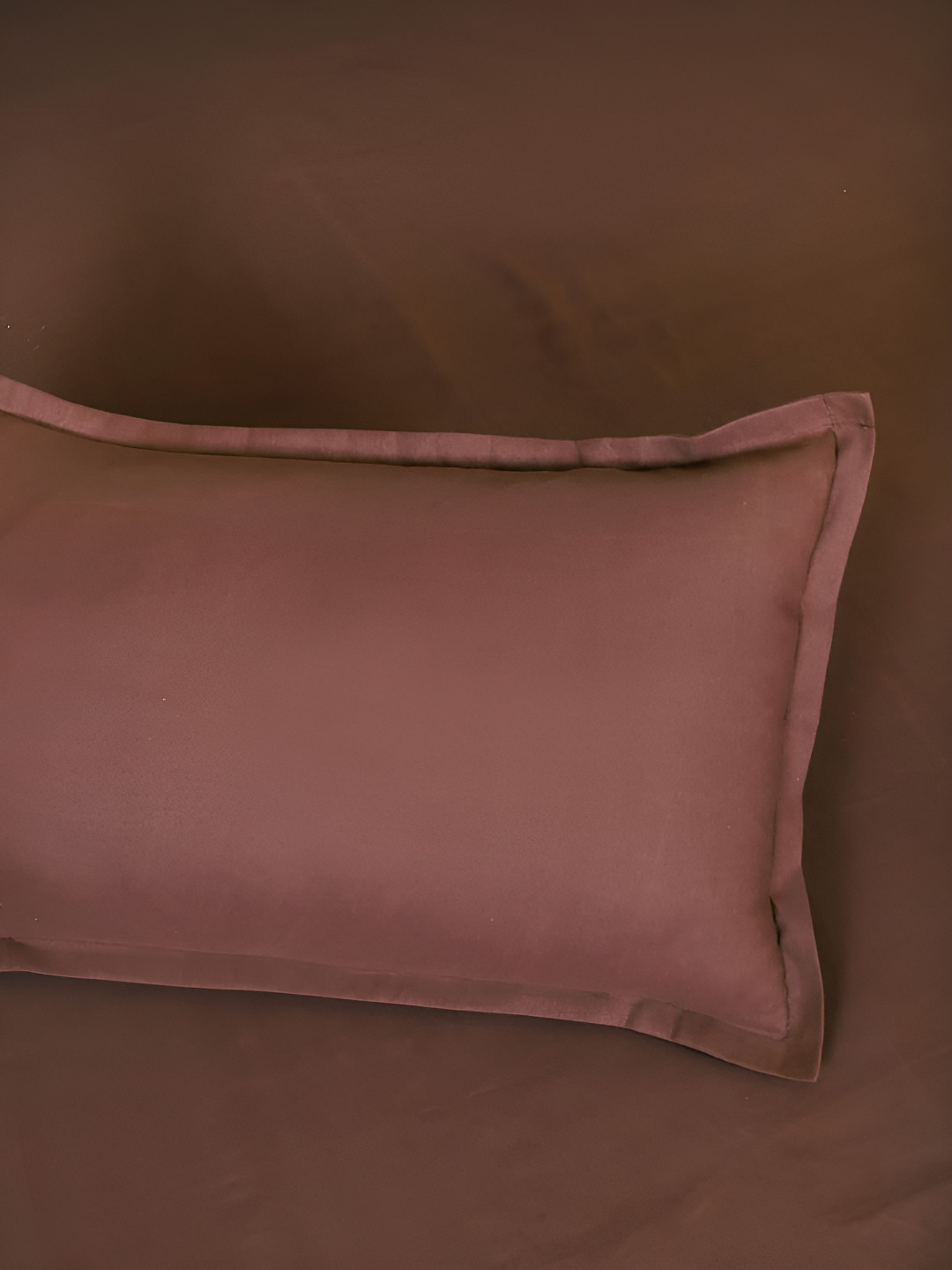 

PHOEBEE Brown Cotton 120 TC Queen Bedsheet with 2 Pillow Covers