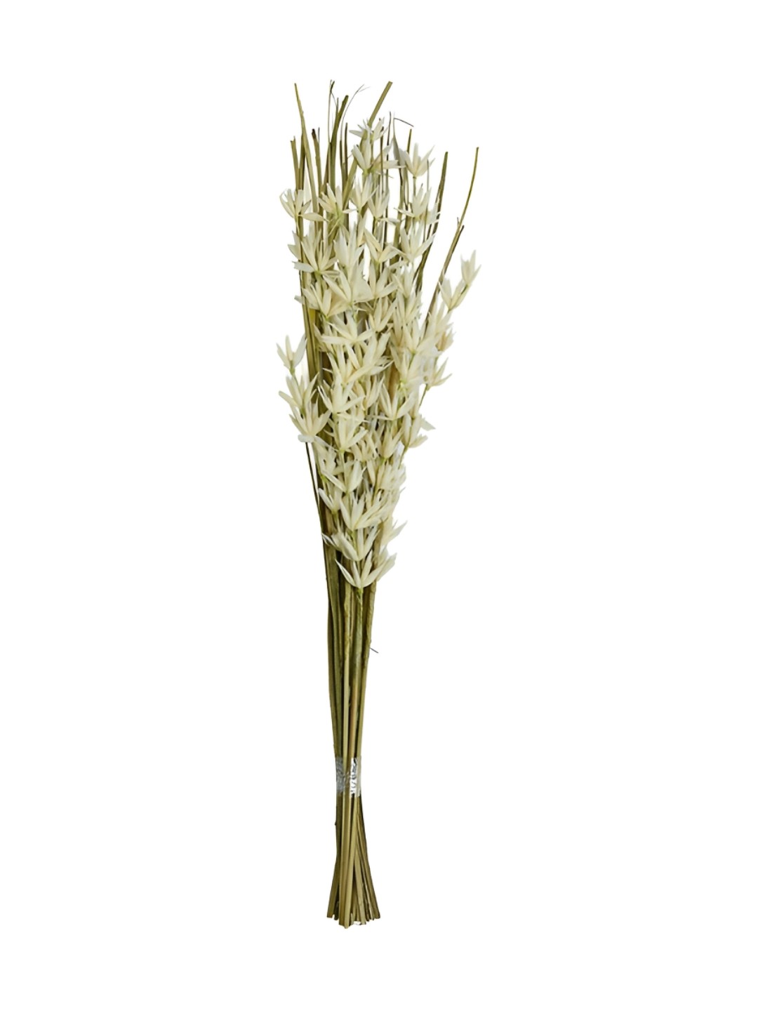 

Athome by Nilkamal White & Green Natural Wild Oat Grass Artificial Plant