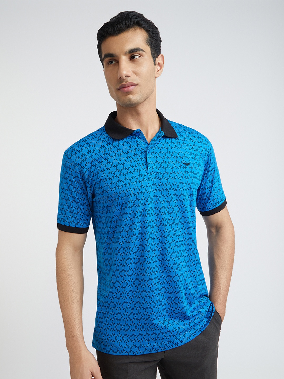 

Park Avenue Printed Polo Collar Slim Fit T-shirt, Blue