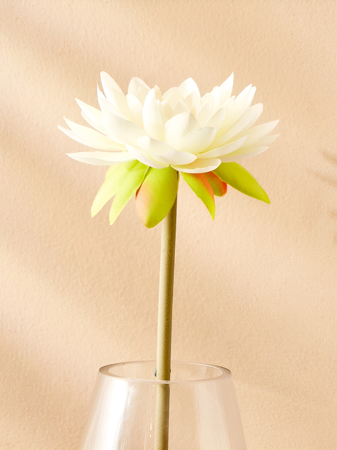 

Home Centre White 1 Pieces Hanging Lotus Artificial Flower