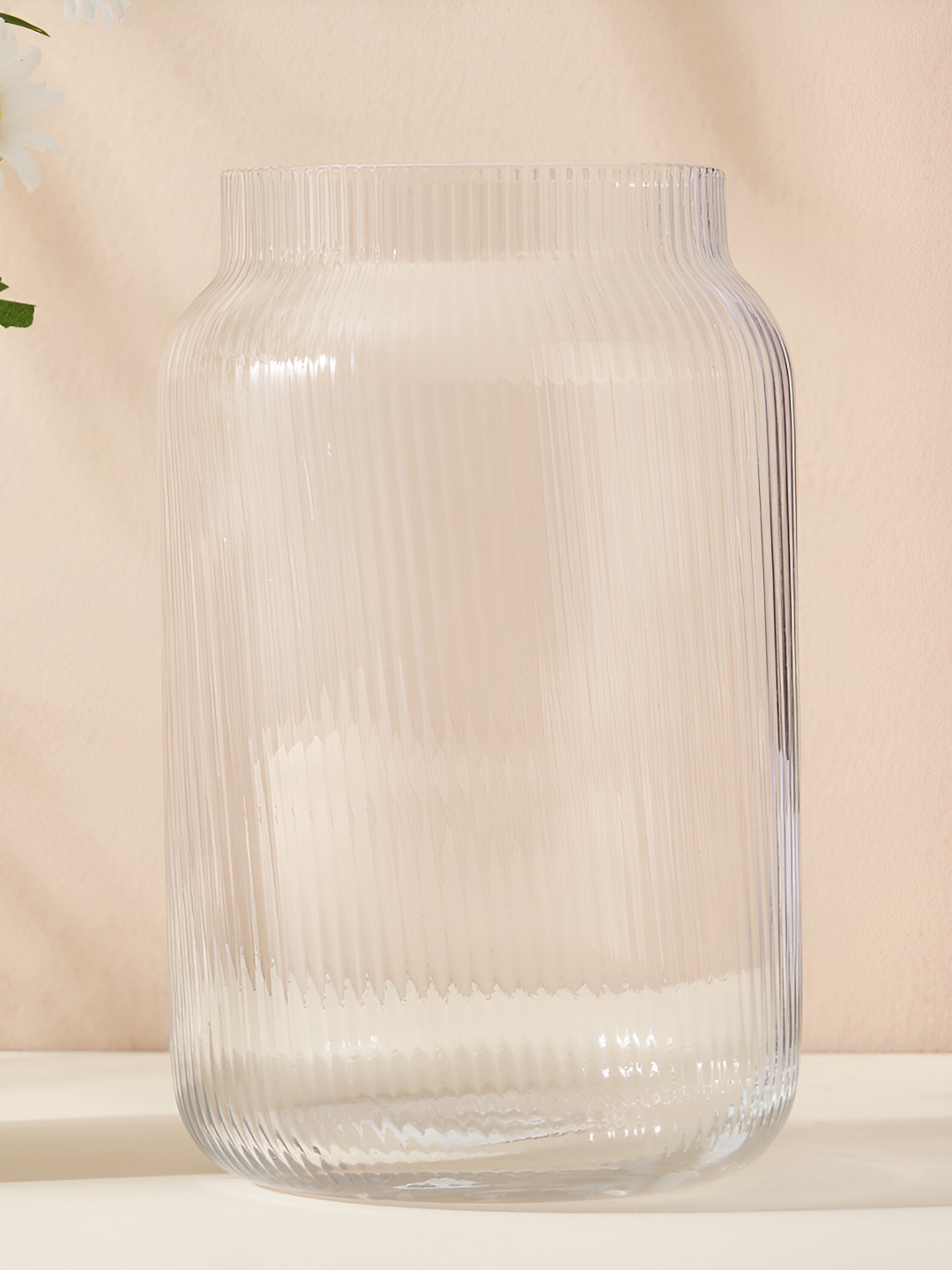 

Home Centre Eadric Transparent Ribbed Tabletop Vase