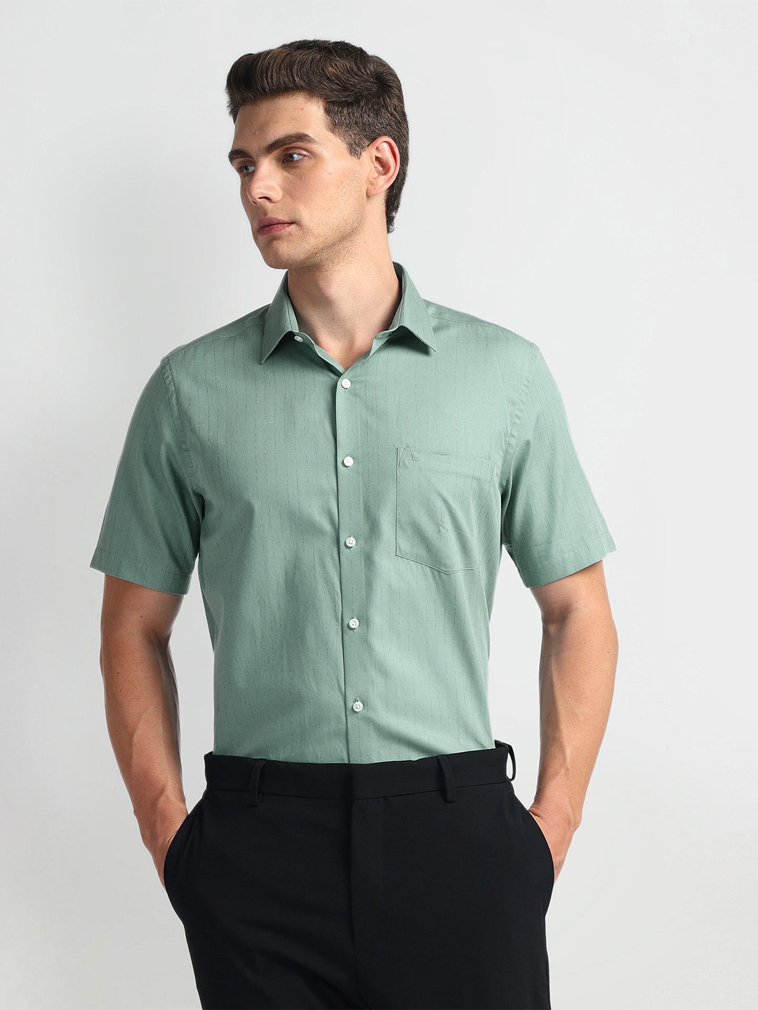 

Arrow Men Opaque Striped Formal cotton Shirt, Green