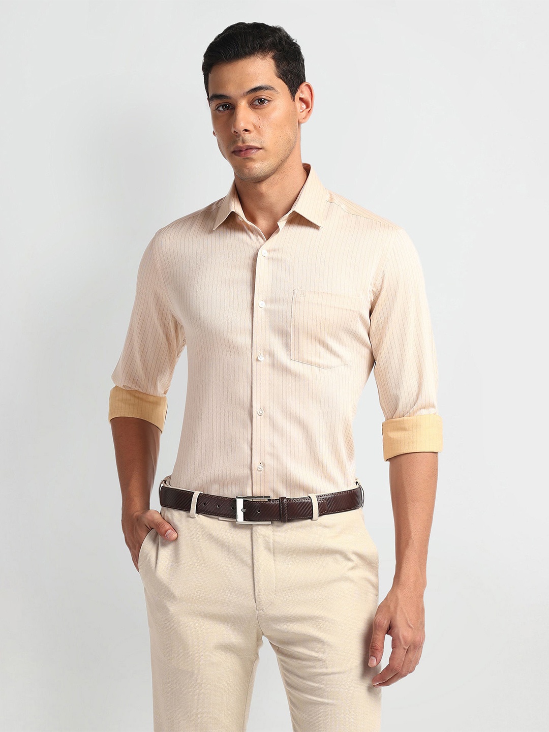 

Arrow Men Slim Fit Opaque Striped Formal cotton Shirt, Beige