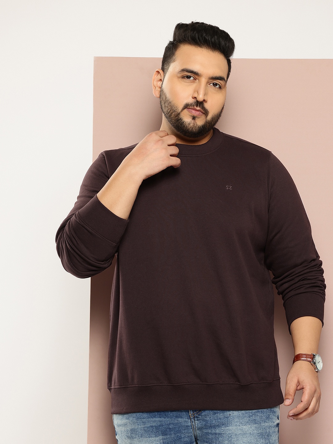 

Sztori Plus Size Pullover Sweatshirt, Brown