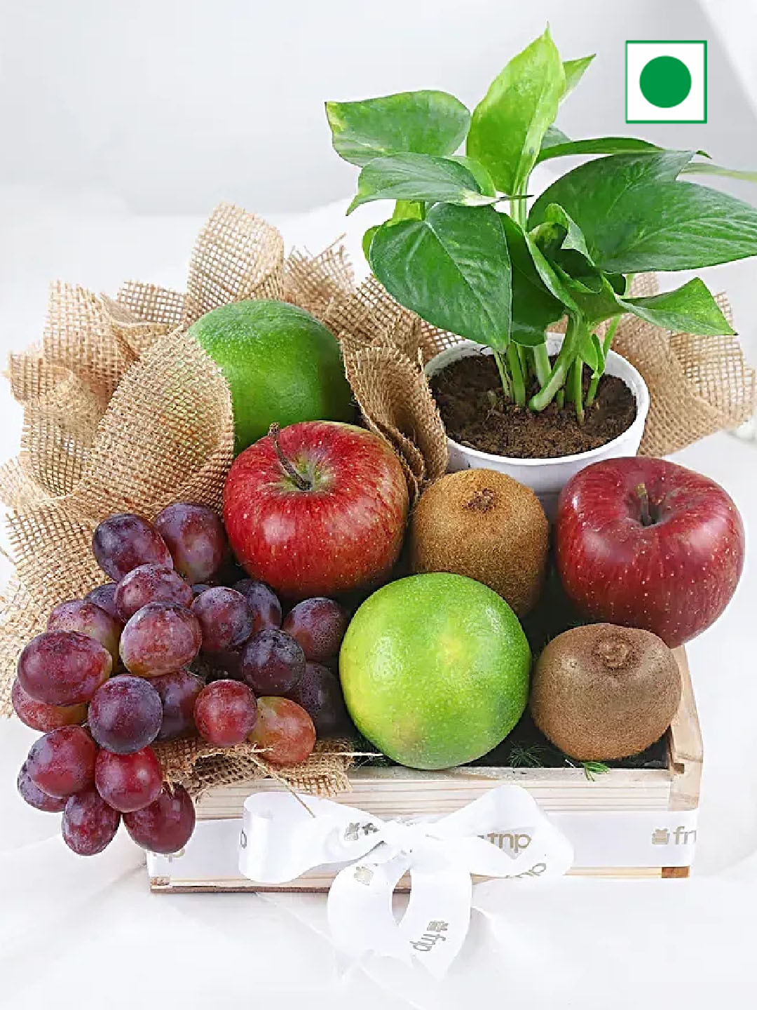 

fnp Prosperous Fruits & Money Plant, Red
