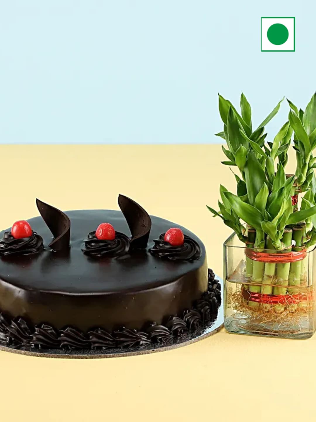 

fnp 3Layer Bamboo& Truffle Cake500g, Green