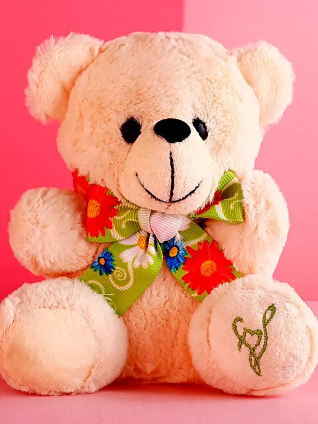 

fnp White & Green Money Plant With Teddy