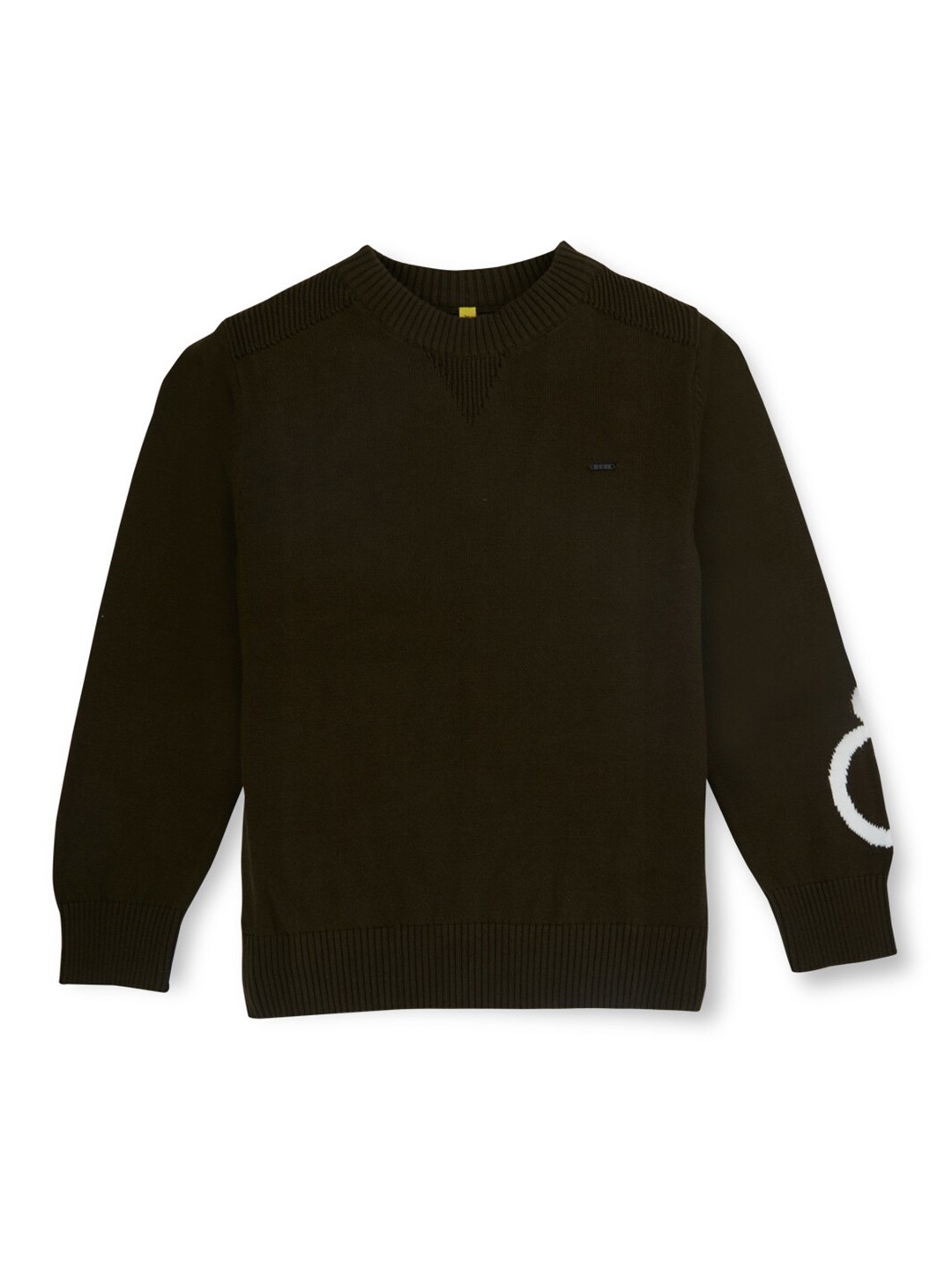 

Gini and Jony Boys Round Neck Long Sleeves Acrylic Pullover, Olive