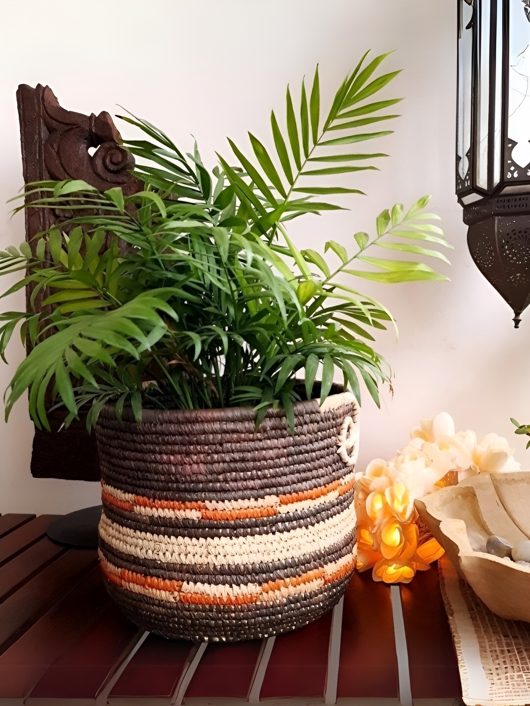 

Peepul Tree Brown & Cream Woven Design Indoor Planter