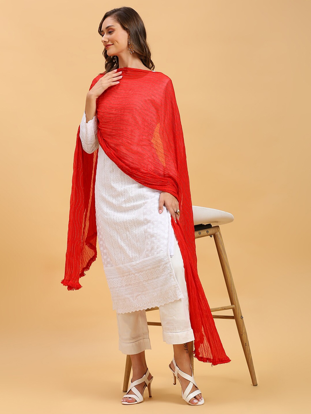 

Dupatta Bazaar Embroidered Chiffon Dupatta, Red