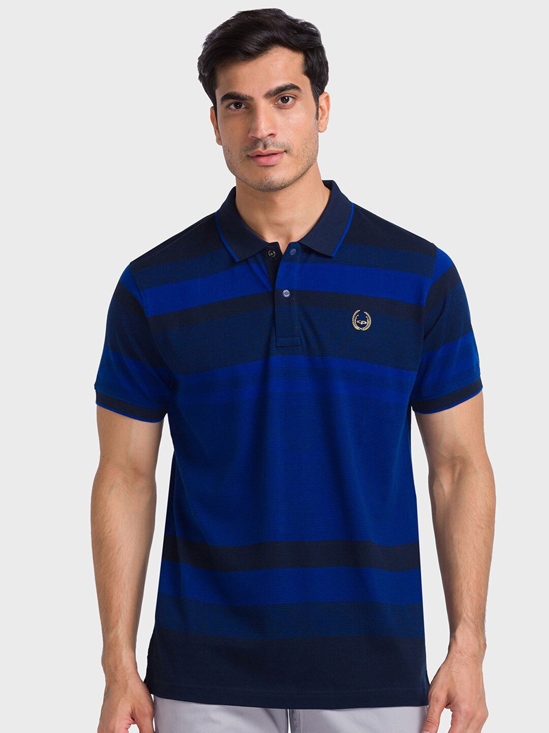 

ColorPlus Striped Polo Collar Tailored Fit Cotton T-shirt, Blue
