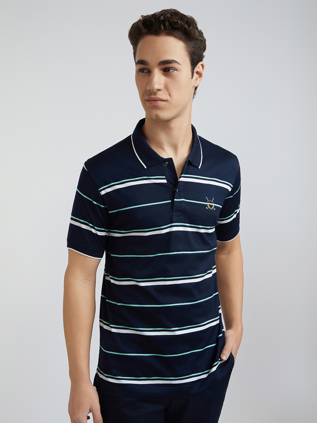 

ColorPlus Striped Polo Collar Tailored Fit Cotton T-shirt, Blue