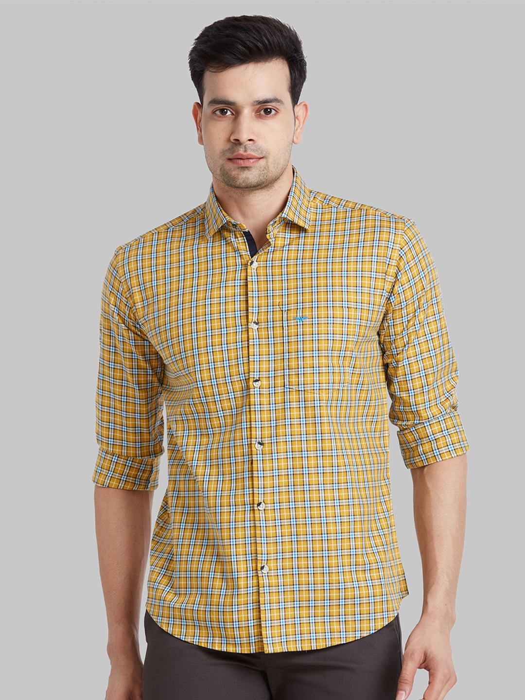 

Park Avenue Slim Fit Long Sleeves Spread Collar Cotton Opaque Checked Casual Shirt, Beige