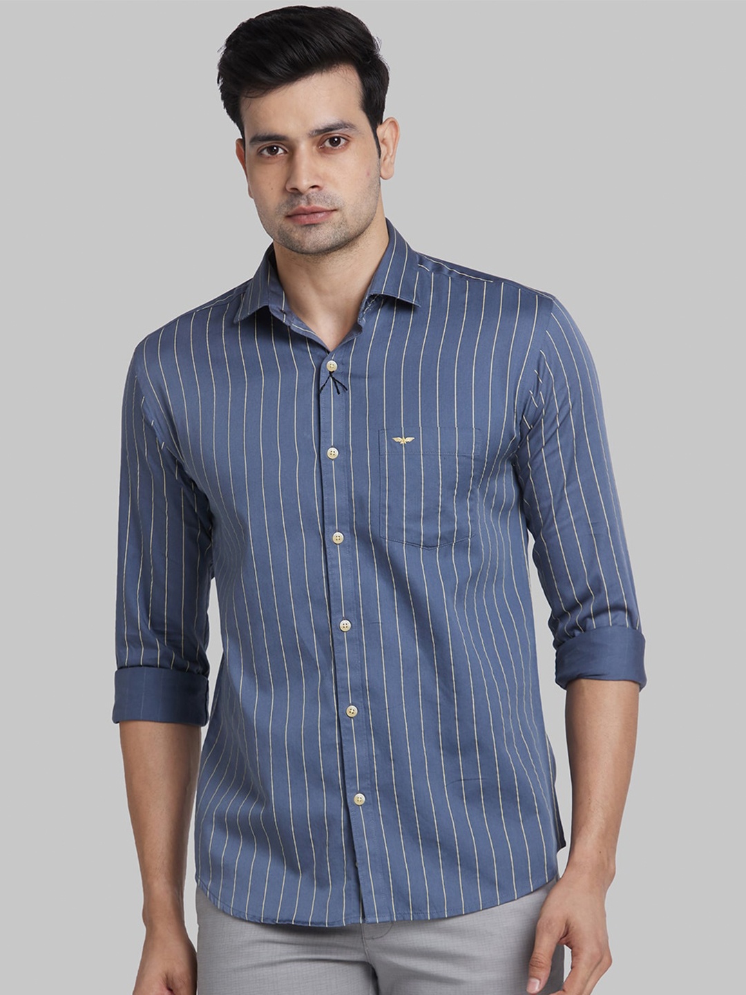 

Park Avenue Slim Fit Opaque Striped Cotton Casual Shirt, Grey