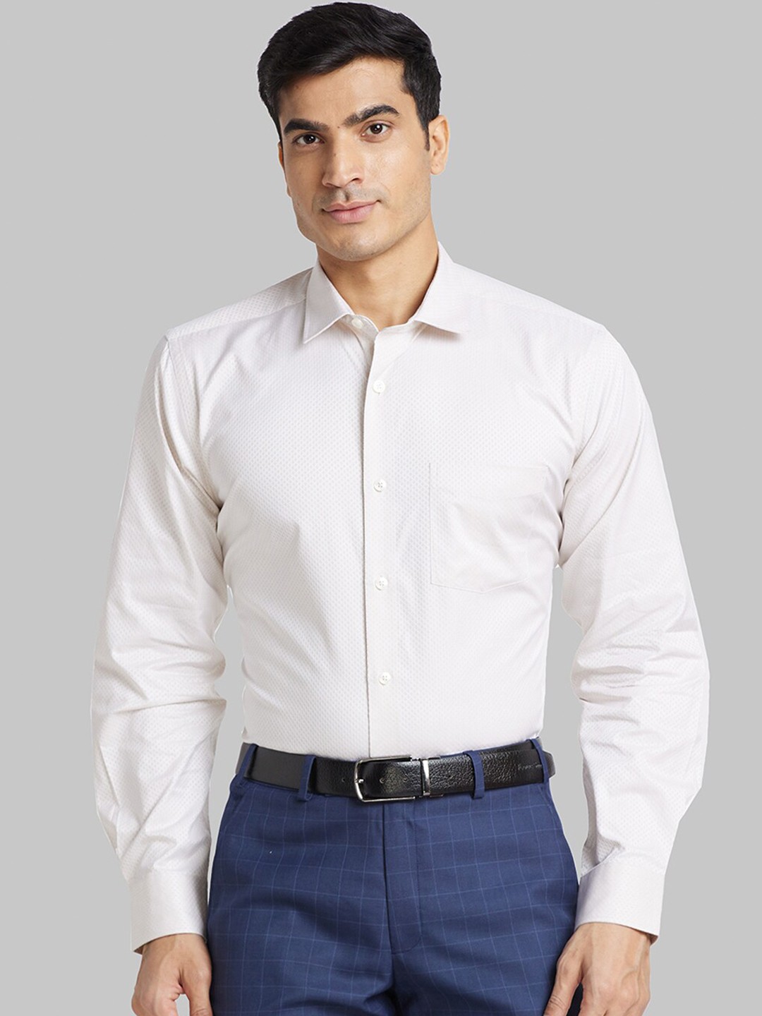 

Park Avenue Long Sleeves Spread Collar Cotton Opaque Formal Shirt, Beige